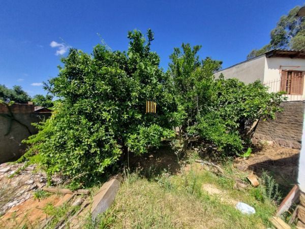 Terreno à venda Camaquã Porto Alegre/RS