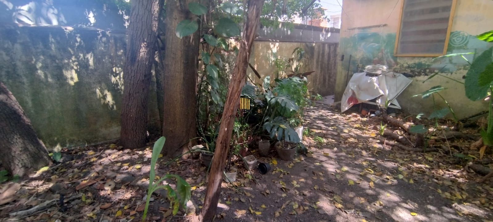 **Imperdível! Apartamento com 3 dormitórios no Centro Histórico.