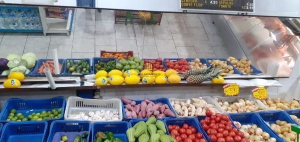 Predio para Venda - 250m², 0 dormitórios, Vila Nova