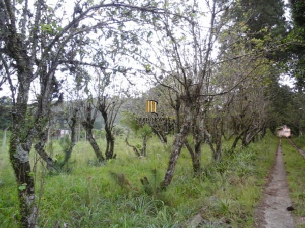 Terreno à venda Belém Velho Porto Alegre/RS