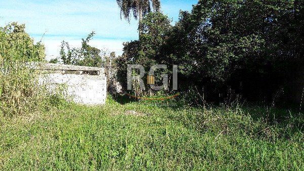 Terreno para Venda - 0m², 0 dormitórios, Pedra Redonda