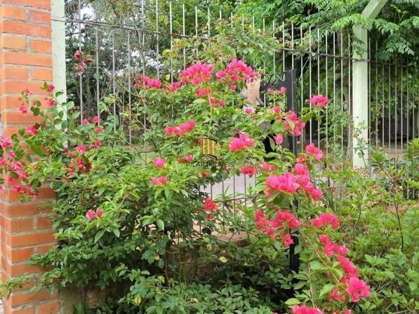 Terreno para Venda - 0m², 0 dormitórios, Belém Novo