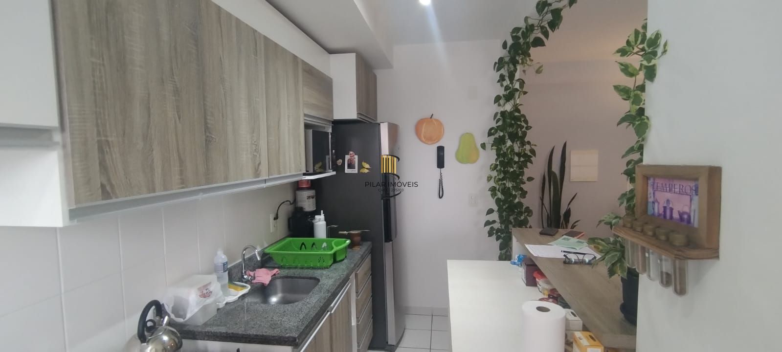 Apartamento 3 dormitórios no bairro Tristeza