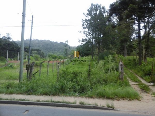 Terreno à venda Belém Velho Porto Alegre/RS