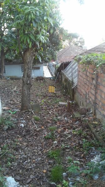 Terreno para Venda - 0m², 0 dormitórios, Tristeza