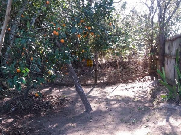 Casa em Viamão, no bairro Itapuã, com 3 dormitório(s), e 3 banheiros, à venda.
