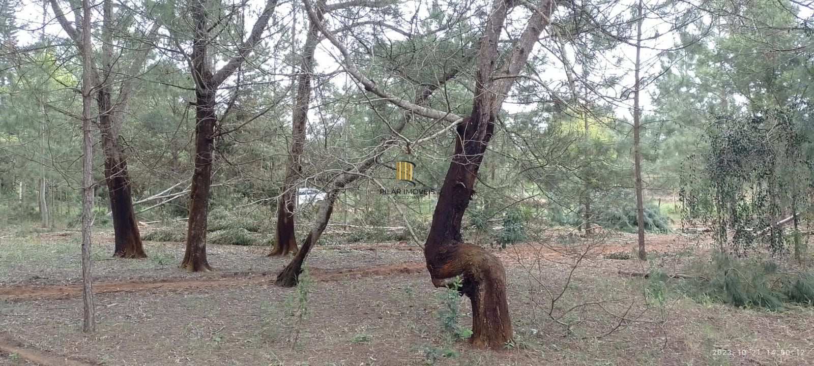 Terreno à venda Águas Claras Viamão/RS