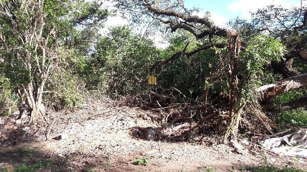 Terreno para Venda - 0m², 0 dormitórios, Lageado