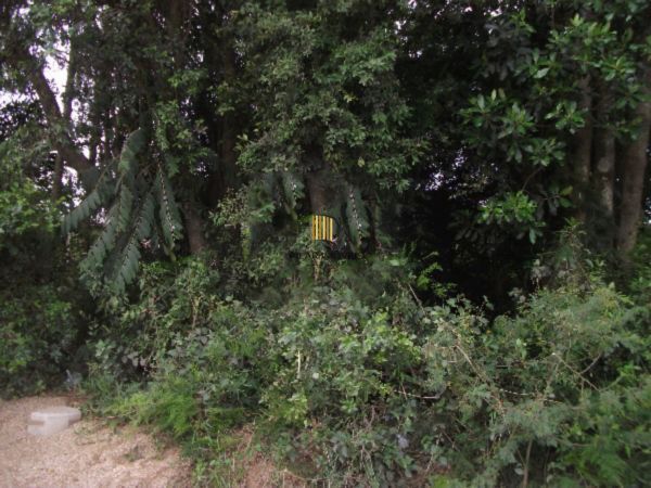 Terreno para Venda - 0m², 0 dormitórios, Hípica