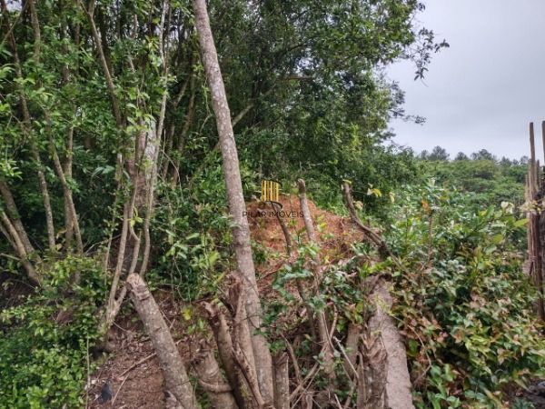 Terreno para Venda - 0m², 0 dormitórios, Serraria