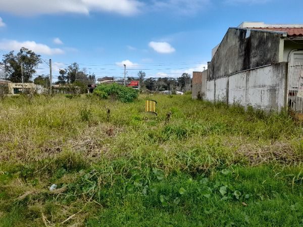 Terreno para Venda - 0m², 0 dormitórios, Hípica