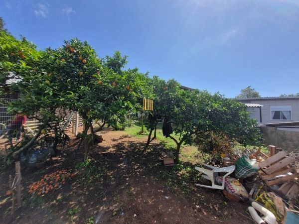 Casa em Porto Alegre, no bairro Vila Nova, com 1 dormitório(s), e 1 banheiros, à
