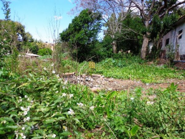 Terreno para Venda - 600m², 0 dormitórios, Camaquã