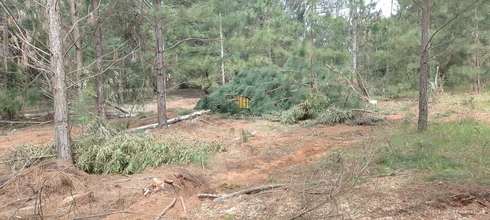 Terreno à venda Águas Claras Viamão/RS