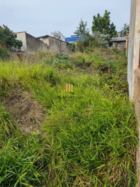 Terreno para Venda 299m², Tristeza