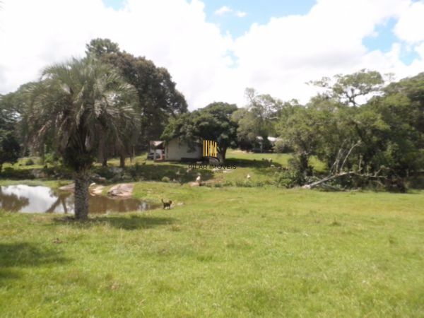 Terreno para Venda - 0m², 0 dormitórios, Lageado