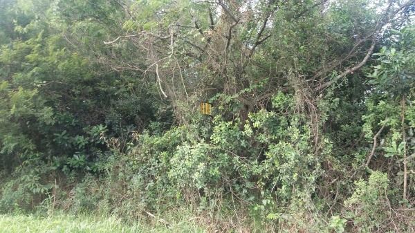 Terreno para Venda - 0m², 0 dormitórios, Restinga