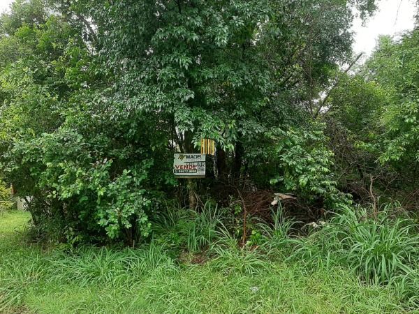 Area em Porto Alegre, no bairro Vila Nova, à venda.