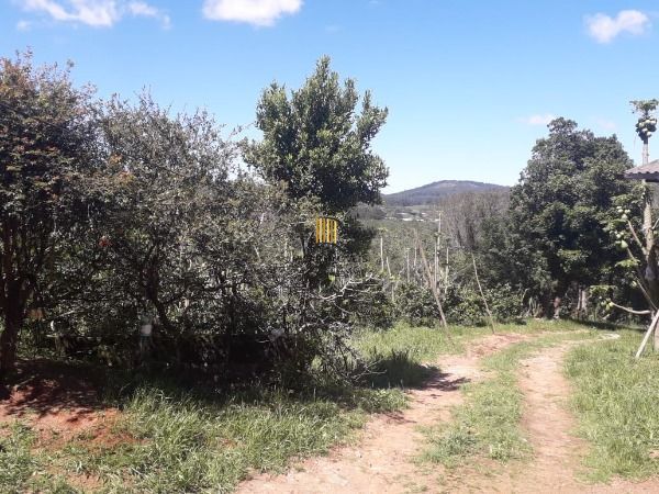 Terreno para Venda -, Extrema