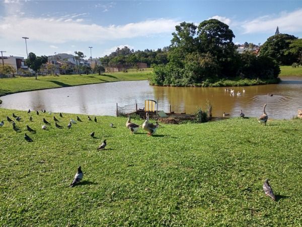 Terreno para Venda - 0m², 0 dormitórios, Hípica