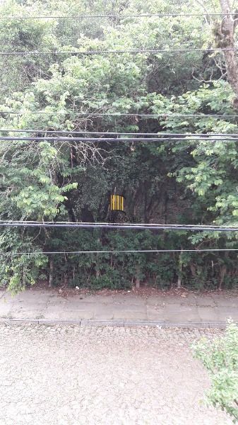 Sobrado para Venda - 240.43m², 3 dormitórios, sendo 1 suites, 2 vagas - Ipanema