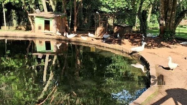 Casa Condominio em Porto Alegre, no bairro Cavalhada, com 4 dormitório(s), e 4 b