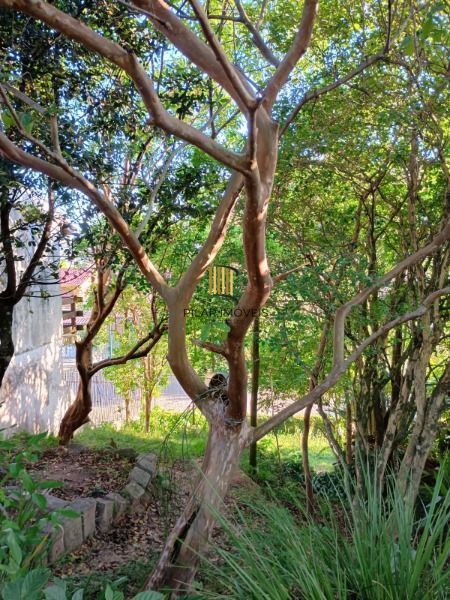Terreno à venda Cavalhada Porto Alegre/RS