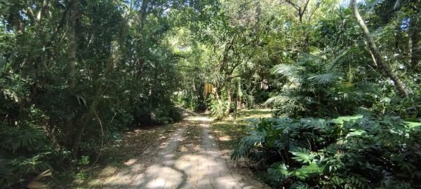 Terreno 51,80 x 150 em Porto Alegre, no bairro Pedra Redonda, à venda.