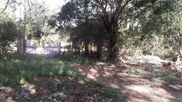 Terreno para Venda - 0m², 0 dormitórios, Lageado