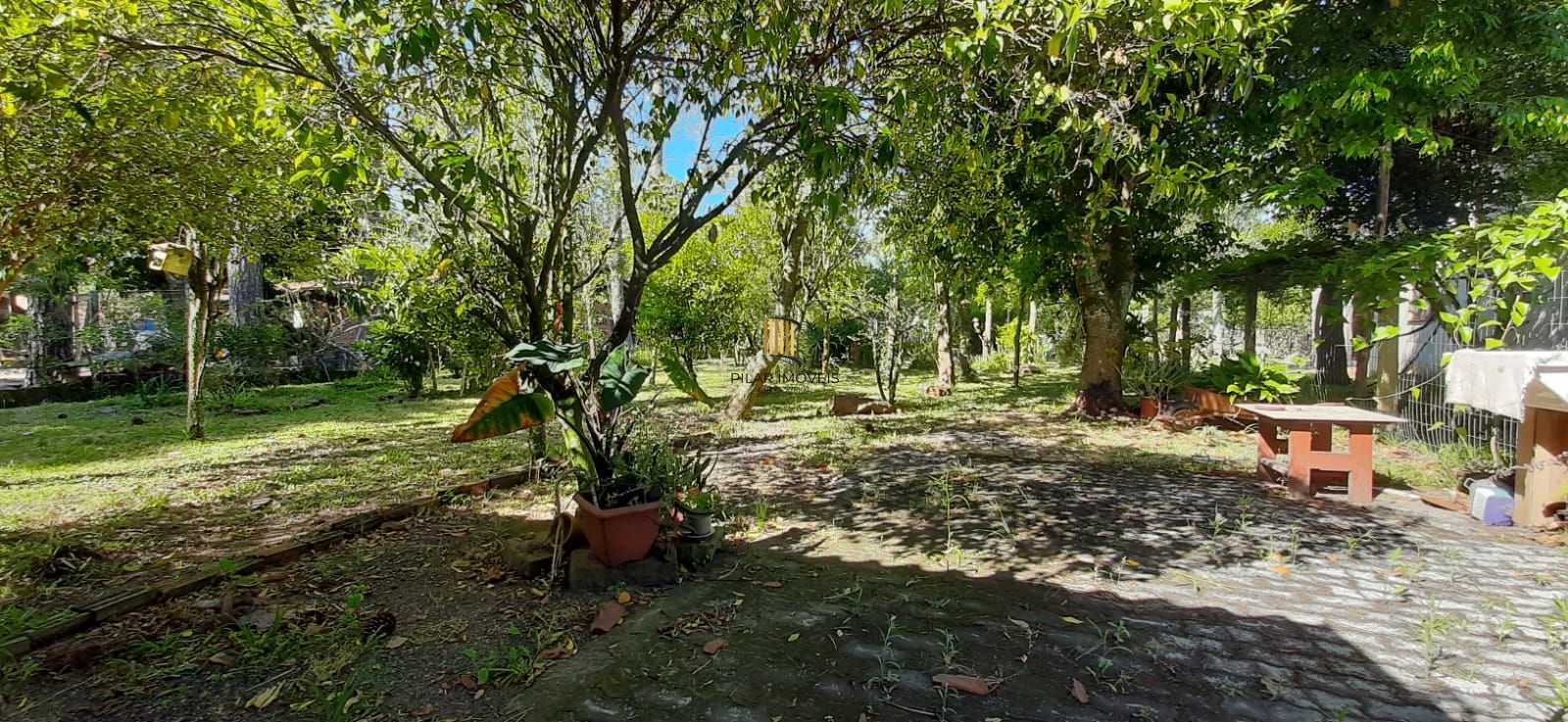 Ótimo sítio no parque São Paulo.