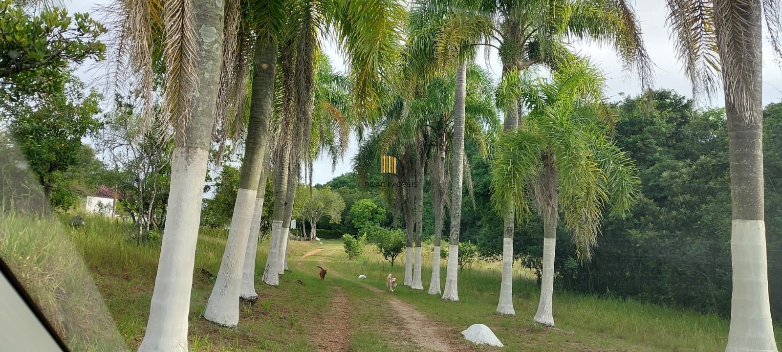 Lindo sitio em localização privilegiada.