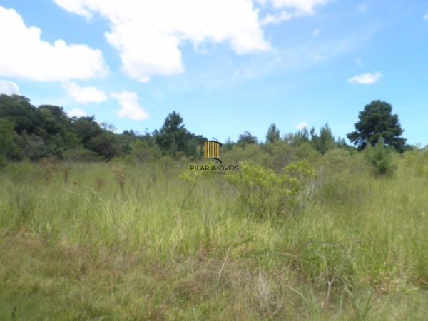 Terreno para Venda - 0m², 0 dormitórios, Lageado