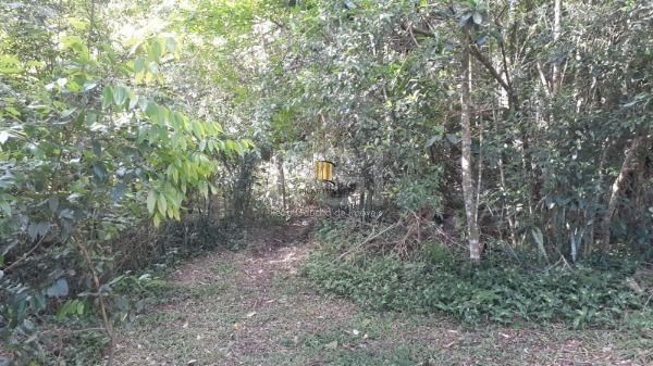 Terreno em Condominio para Venda - 293.15m², 0 dormitórios, Vila Nova