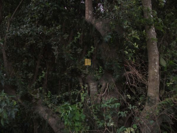 Terreno para Venda - 0m², 0 dormitórios, Hípica - Pilar Imóveis