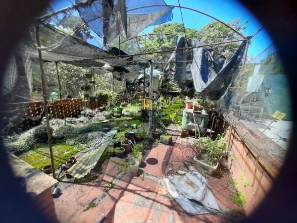 Casa em Porto Alegre, no bairro Pedra Redonda, com 2 dormitório(s), e 2 banheiro