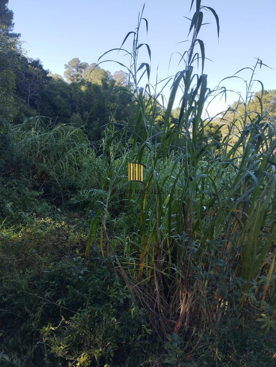 Terreno junto ao Alphaville