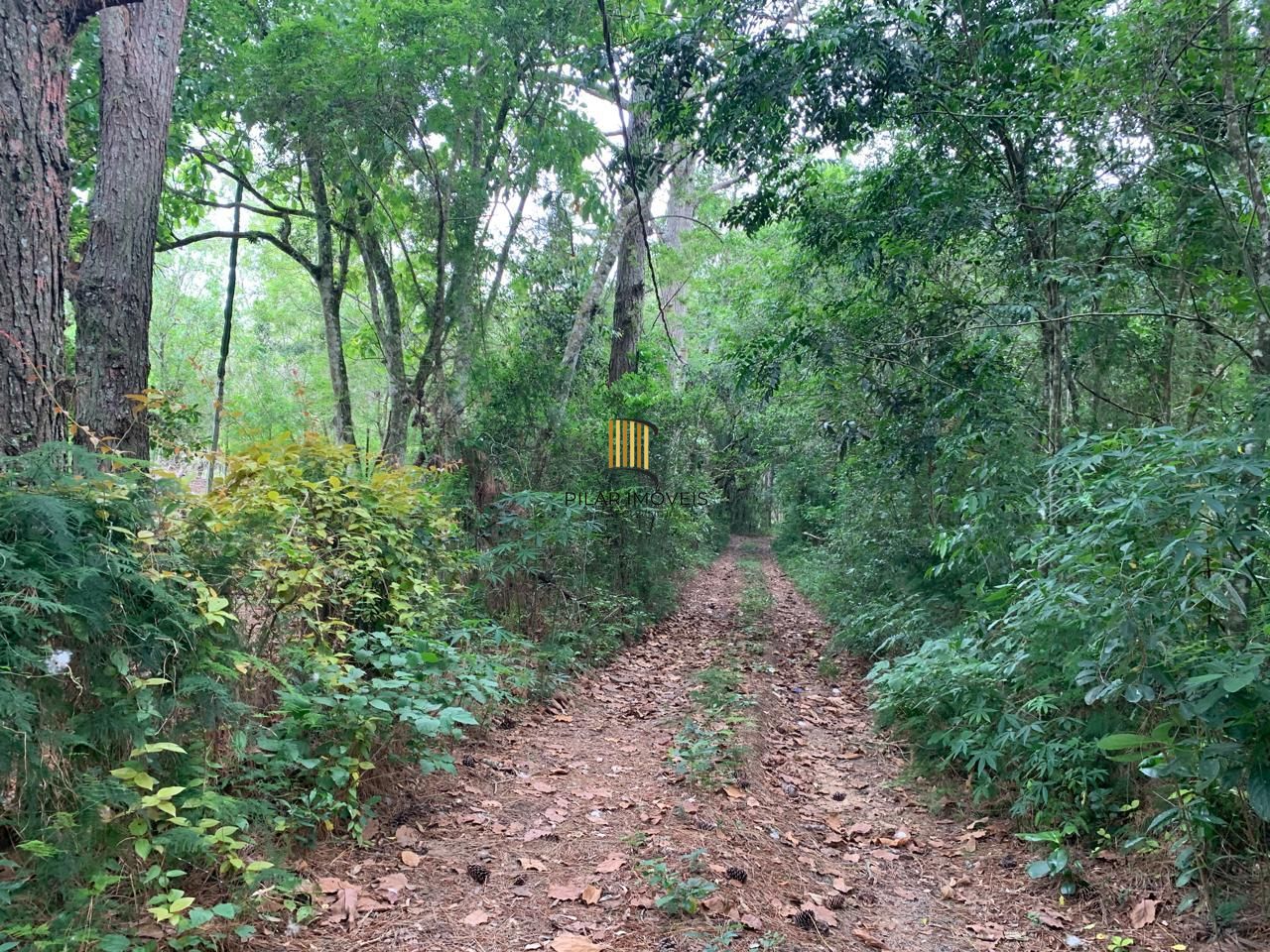 Lindo Sítio em Águas Claras - Viamão