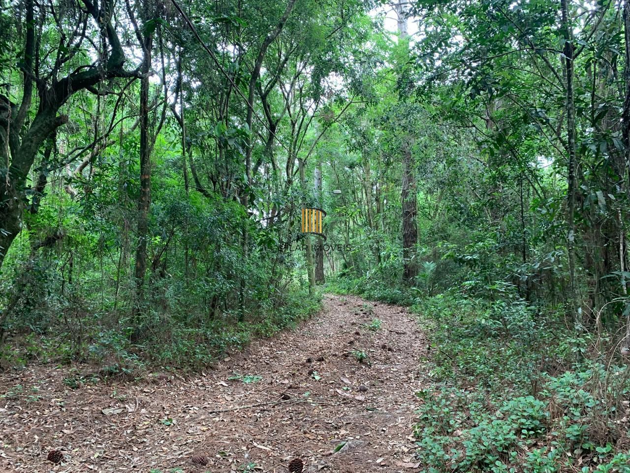 Lindo Sítio em Águas Claras - Viamão