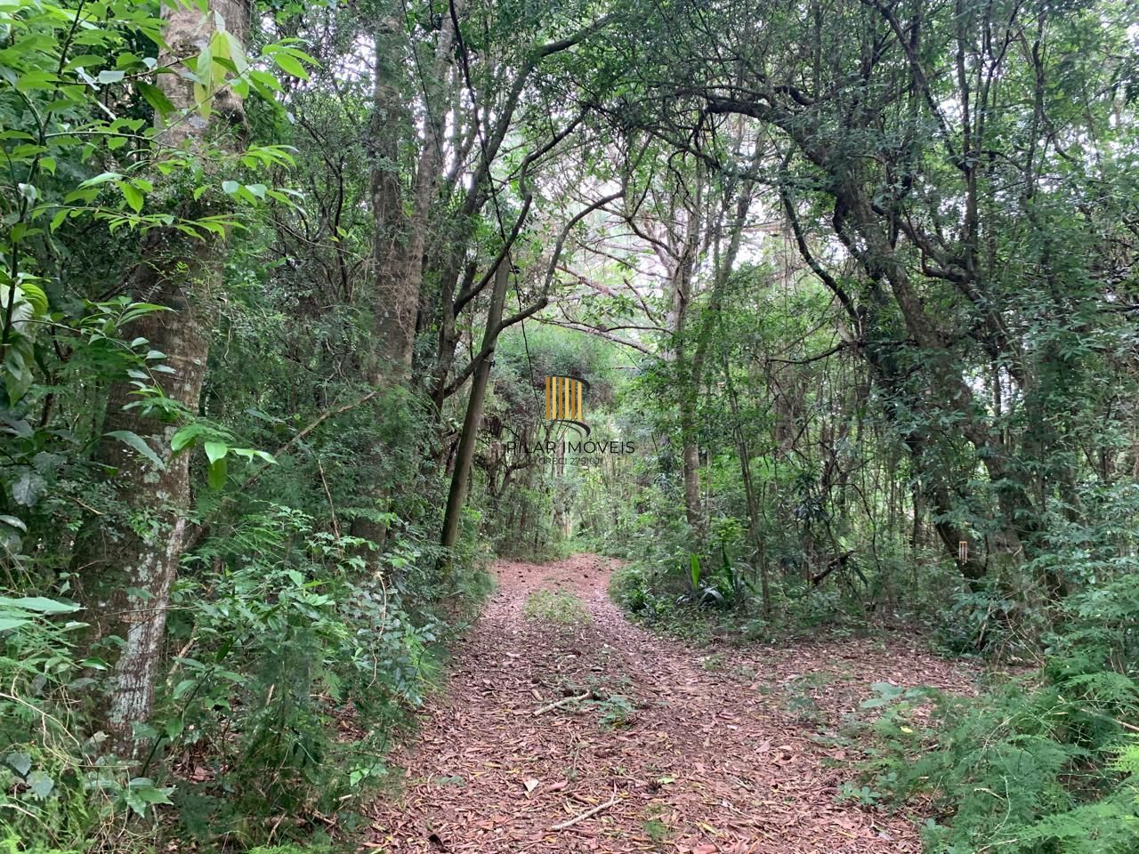 Lindo Sítio em Águas Claras - Viamão