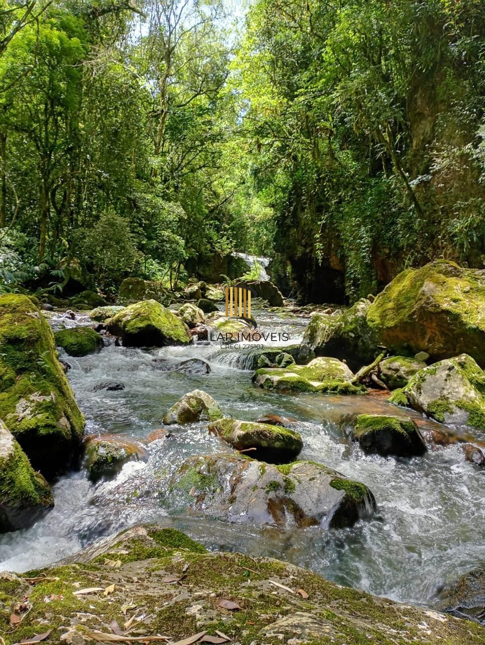 SITIO PARA LAZER E TURISMO.  COM TODAS AS LICENÇAS, URBANIZADO PRONTO PARA INVESTIMENTO EM TURISMO