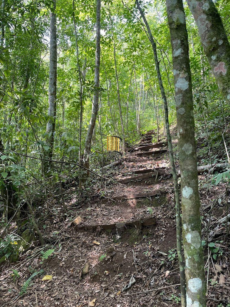 SITIO PARA LAZER E TURISMO.  COM TODAS AS LICENÇAS, URBANIZADO PRONTO PARA INVESTIMENTO EM TURISMO