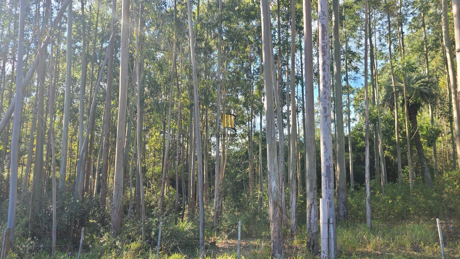 Ampla Área em Viamão – 18,5 Hectares de Potencial