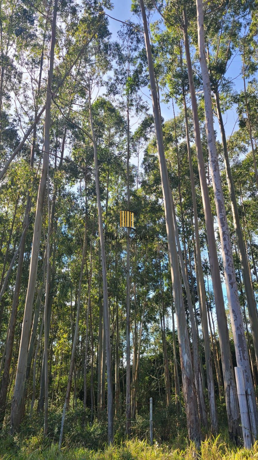 Ampla Área em Viamão – 18,5 Hectares de Potencial