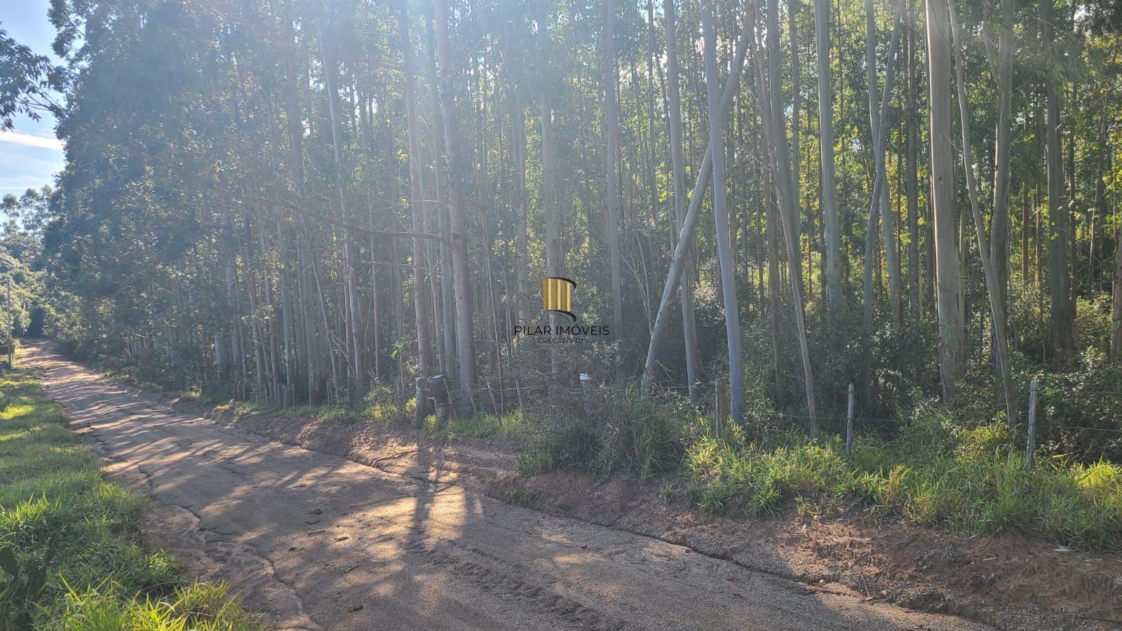 Ampla Área em Viamão – 18,5 Hectares de Potencial