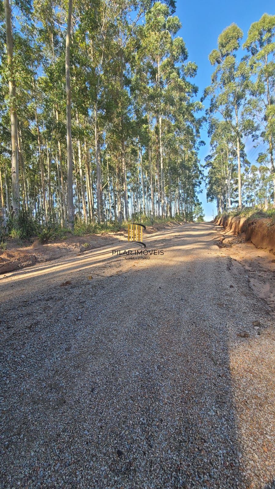 Ampla Área em Viamão – 18,5 Hectares de Potencial