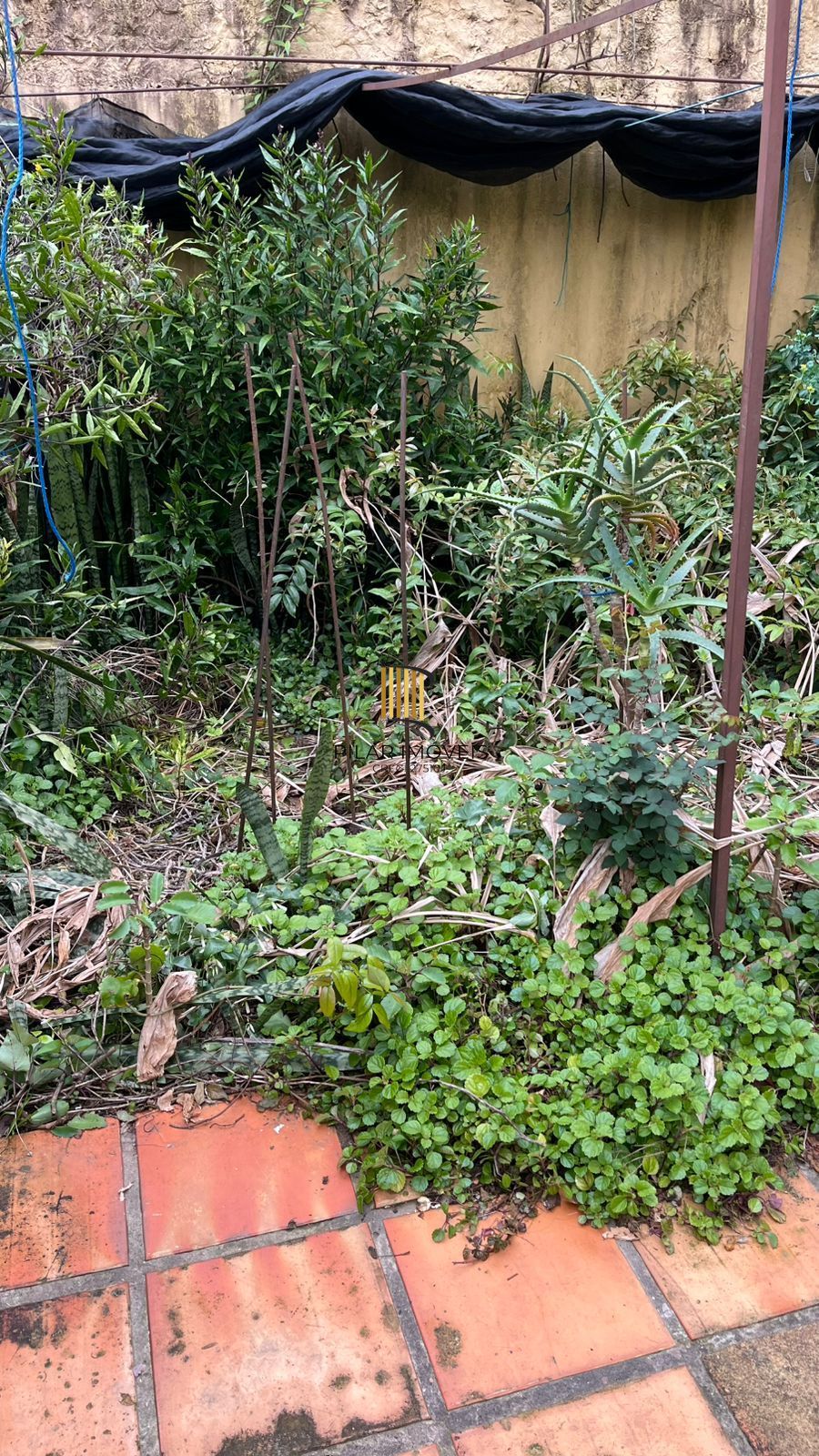 JK térreo, com espaço garden de aproximadamente 40m², Bairro Azenha, Porto Alegre/RS