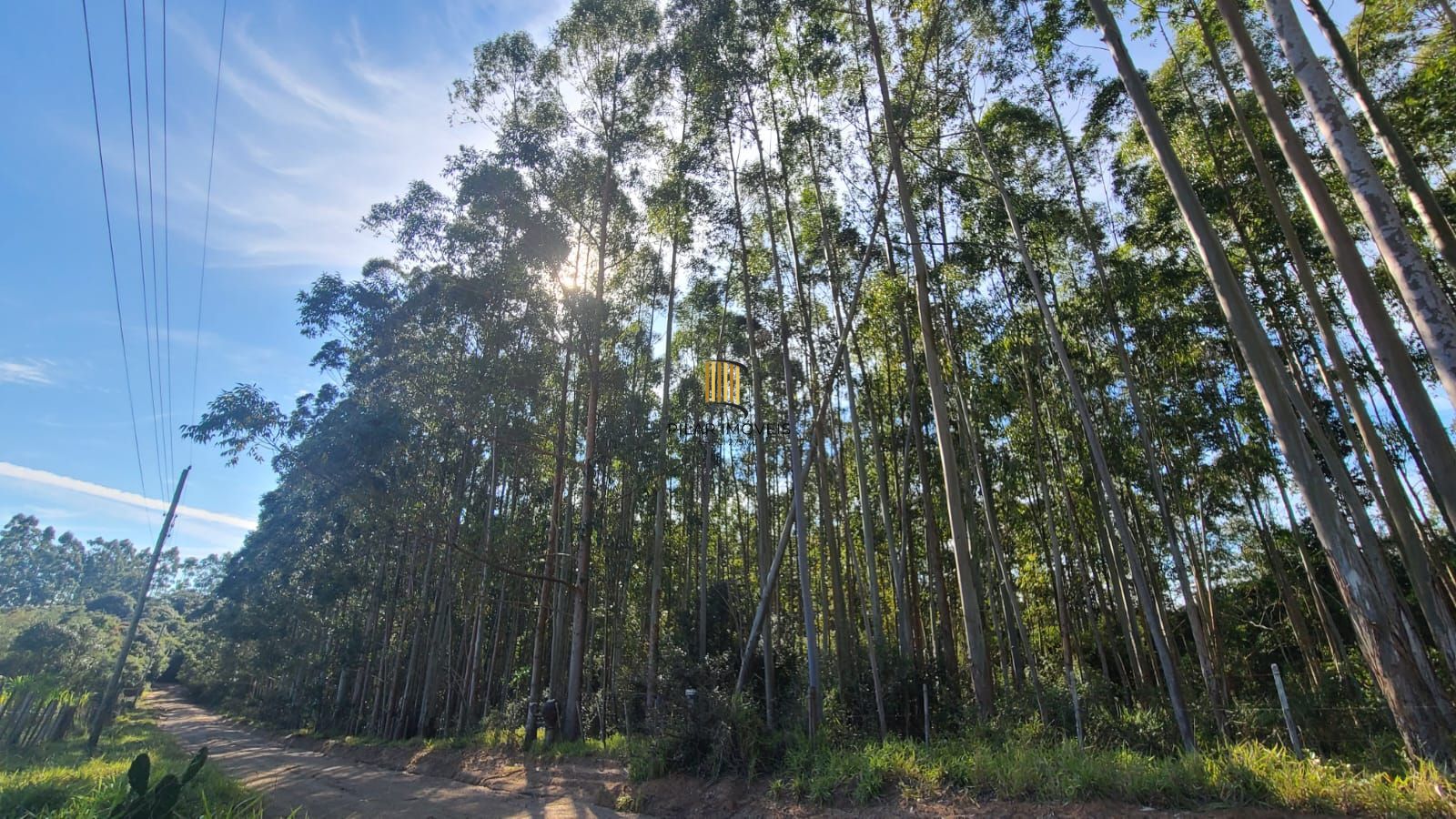 Ampla Área em Viamão – 18,5 Hectares de Potencial