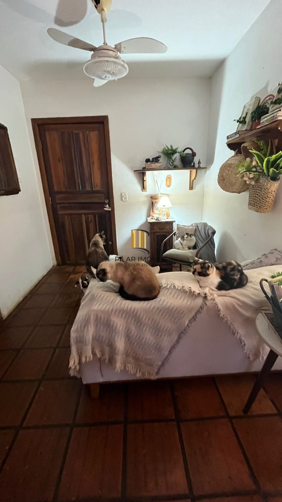 Apartamento 2 Dormitórios com 61,50m² em Condomínio com Lazer Completo e Rua Tranquila