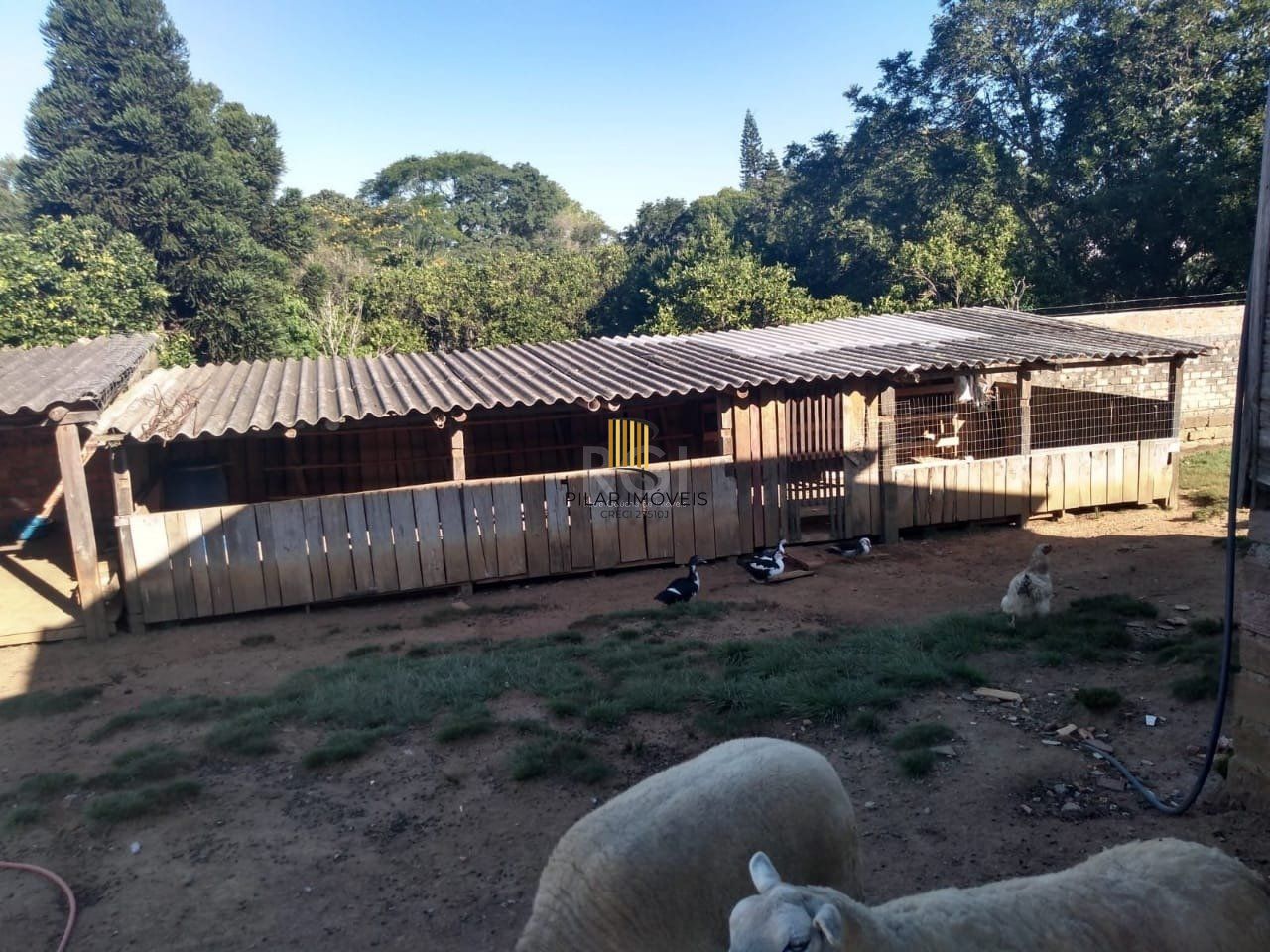 Sítio para Venda - 500m², 2 dormitórios, Krahe