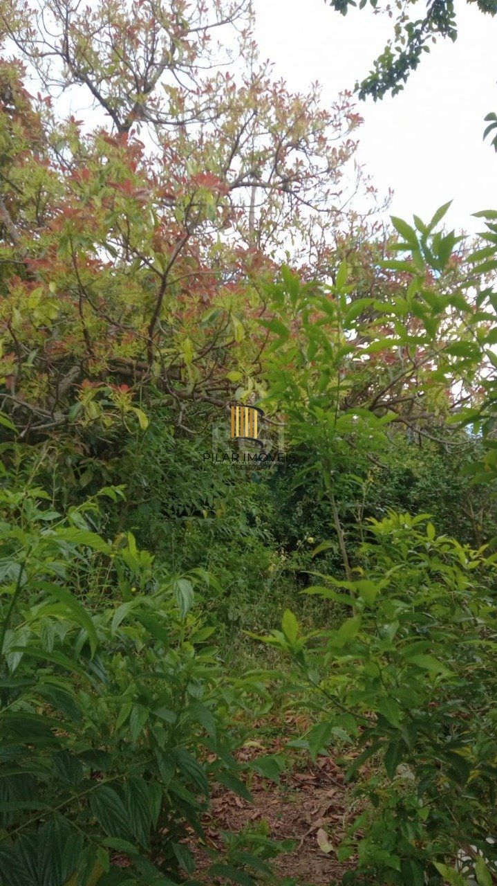 Terreno para Venda - 356.4m², 0 dormitórios, Coronel Aparício Borges